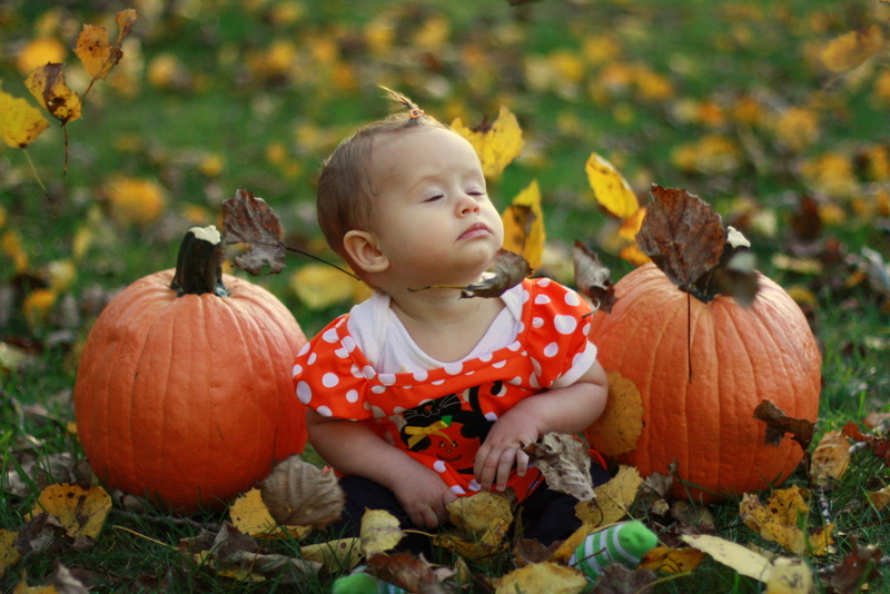 Pumpkin Patch